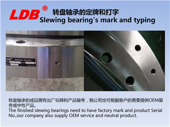 轉(zhuǎn)盤(pán)軸承的定牌和打字